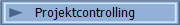    Projektcontrolling
