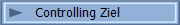 Controlling Ziel