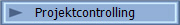 Projektcontrolling